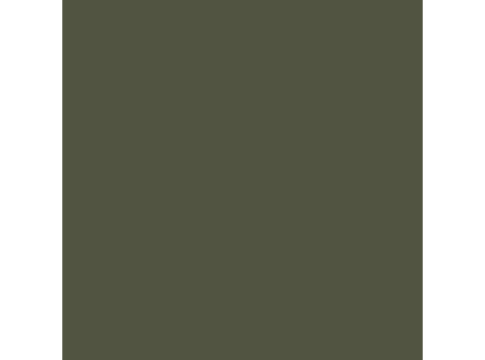 P017 – Vert Foncé – URSS WWII – Olivegrün