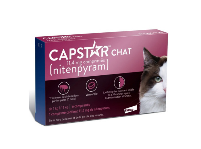 CAPSTAR CHAT BTE6