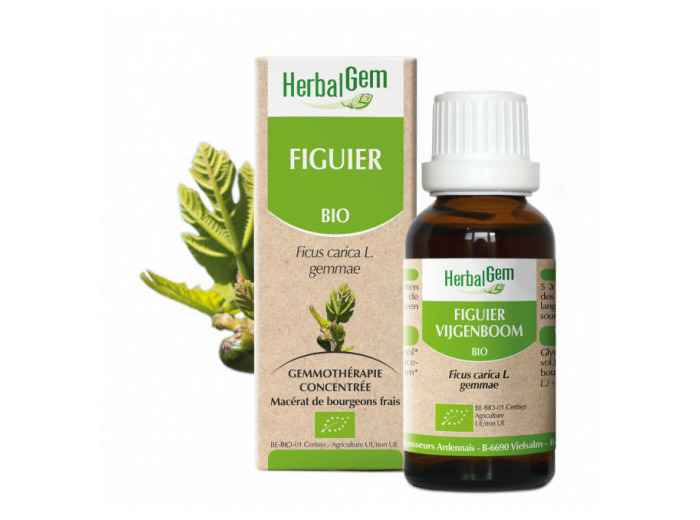 HERBALGEM FIGUIER 30ML