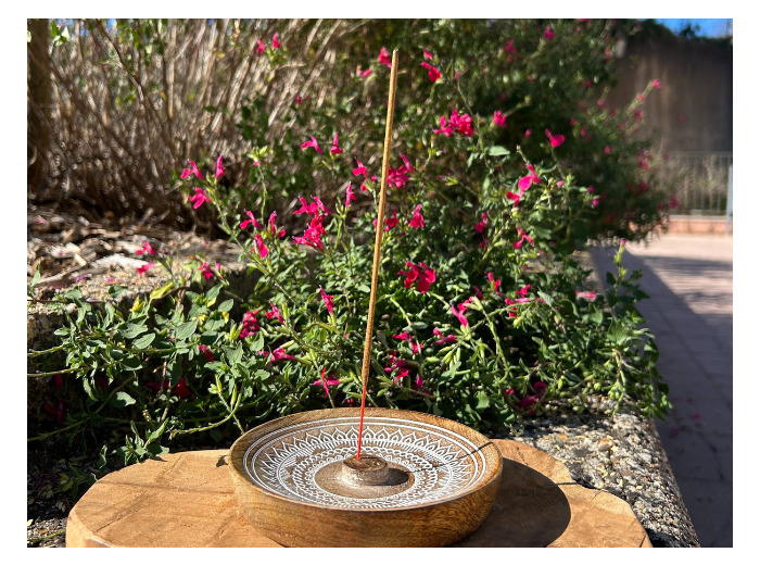 BRULEUR D'ENCENS MANDALA