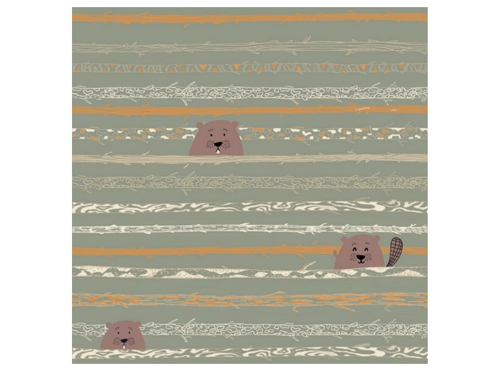 Tissu popeline de coton Beaver Tooth & Trees - Katia Fabrics