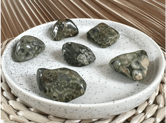 RYOLITE