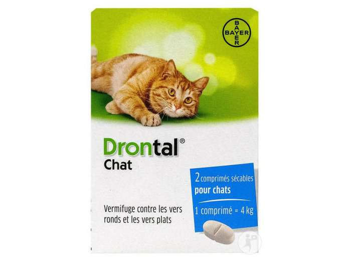 DRONTAL CPR CHAT BT 2        V