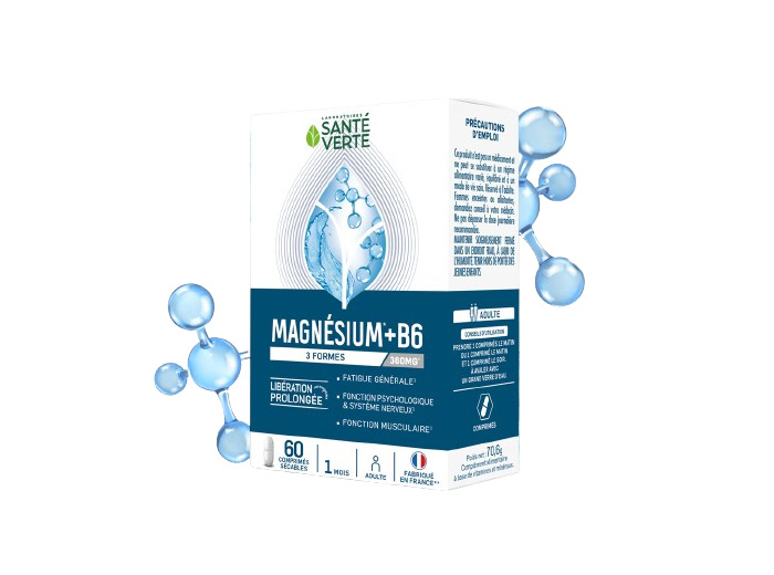 SANTE V MAGNESIUM 3 FORMES 360MG CPR60