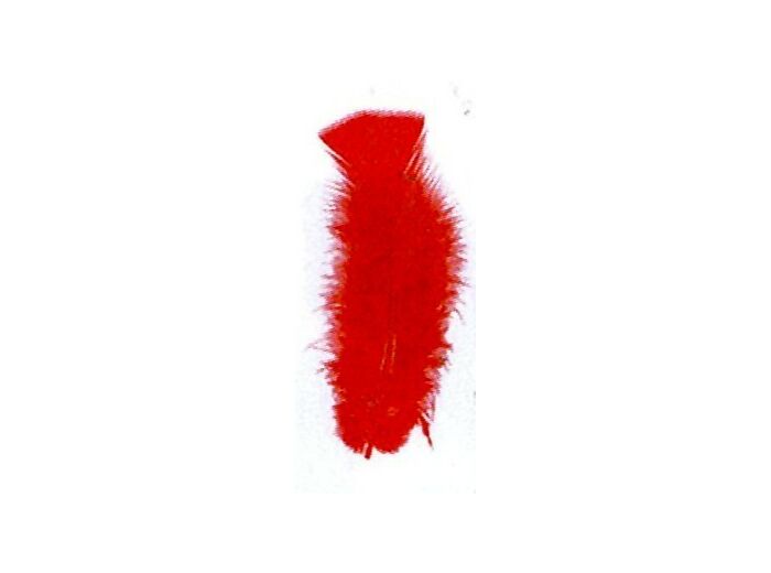 Plumes de dinde - Rouge