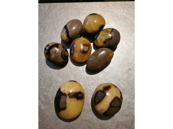 Septaria taille L pierres roulées