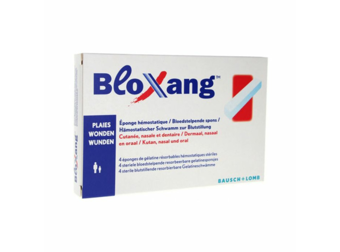 BLOXANG EPONGES 4 BATONNETS