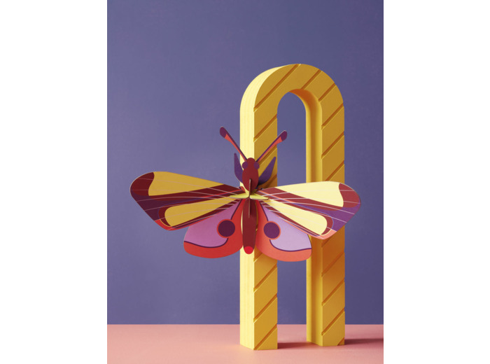 Papillon purple eyed