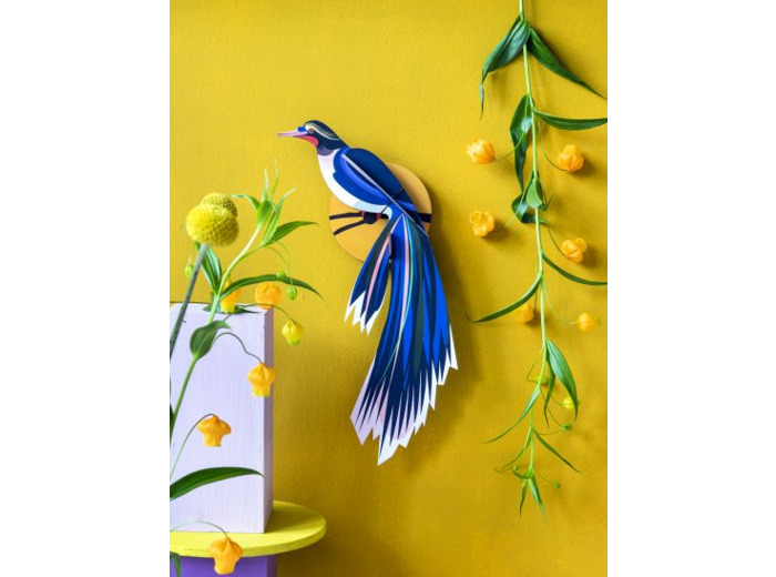 Oiseau FLORES