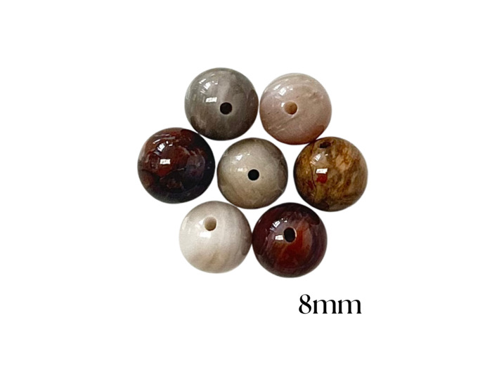 PERLES BOIS FOSSILE