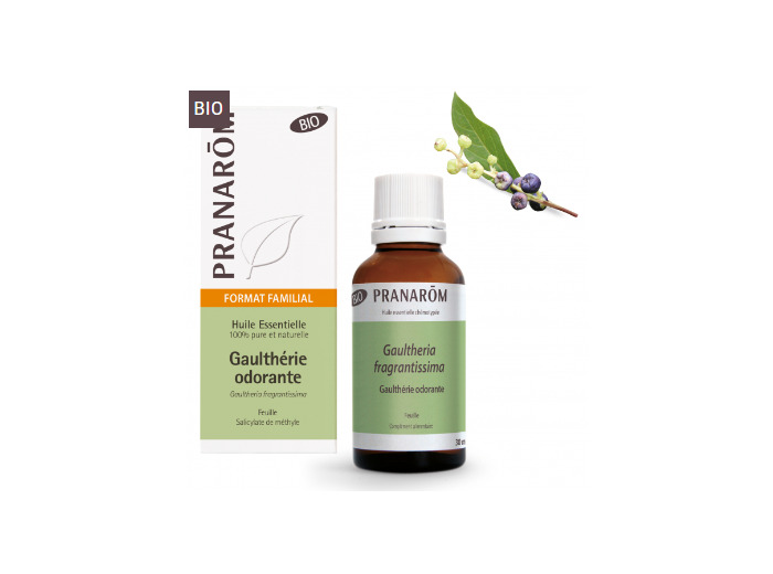 PRAN HE GAULTHERIE ODOR BIO 30ML