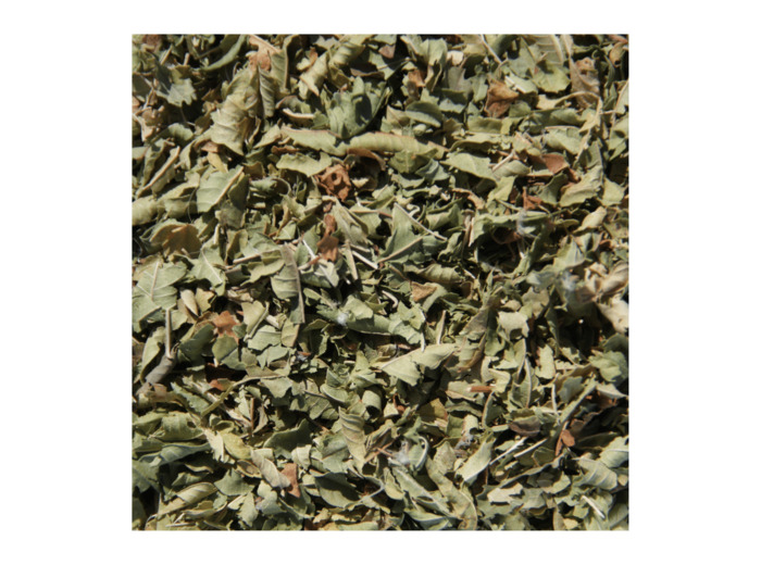 VERVEINE ODORANTE - Feuilles coupées