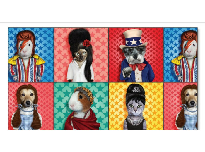 Tissu Michael Miller - Pets Rock Set Patch