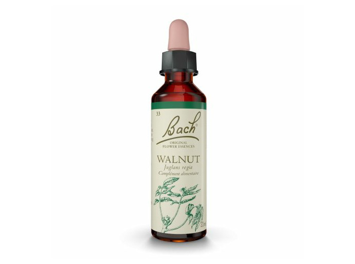 FLEUR BACH WALNUT GTT FL20ML