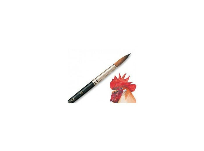 Pinceau Raphael Kolinsky S taille 2