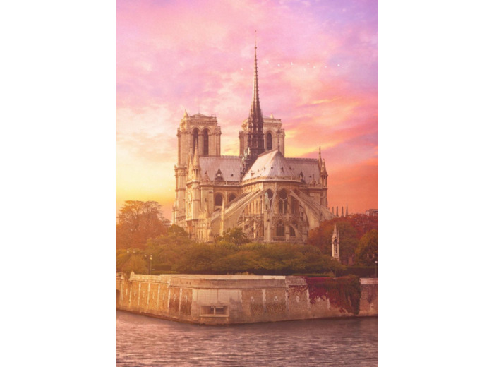 Puzzle Mystère - 1 - Notre Dame 200 ans plus tard