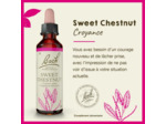 FLEUR BACH SWEET CHESTNUT GTT 20ML