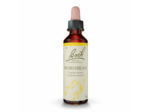 FLEUR BACH HORNBEAM GTT FL20ML