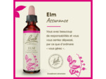 FLEUR BACH ELM GTT FL20ML
