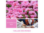 VALLEE DES ROSES - Rooibos à la rose