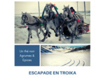 ESCAPADE EN TROIKA - Thé noir aux agrumes et aux épices