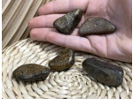 BRONZITE