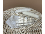 BAGUETTE DE VOGEL
