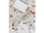 Affiche + tampon "Carte du monde"