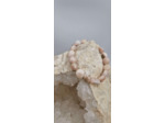 Bracelet calcedoine OLPA1073
