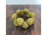Bracelet Kim anis en ivoire végétal