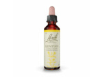 FLEUR BACH GENTIAN GTT FL20ML