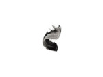 ROCHE P TOLERIANE MASCARA WATERPROOF NOIR