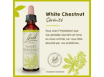 FLEUR BACH WHITE CHESTNUT GTT 20ML