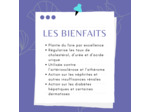 ARTICHAUT - Feuille coupée