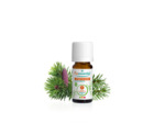 PSL HE EPINETTE NOIRE BIO 5ML