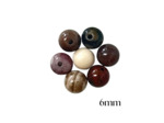PERLES BOIS FOSSILE