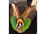 broche  barrette en plumes