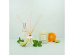 BOUGIE PARFUMÉE MANDARINE BASILIC