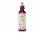 FLEUR BACH LARCH GTT FL20ML