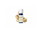 PSL HE GINGEMBRE B 5ML