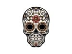 Lot de 6 dessous de verre vinyle - Calavera