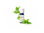 PSL HE MENTHE POIVRE B 10ML1