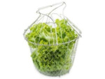 LA BONNE GRAINE - Panier à salade pliant avec raidisseurs - Inox - Rangement facile - Essorage délicat - Ø 22,5 cm