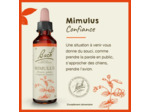 FLEUR BACH MIMULUS GTT FL20ML