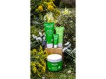 WELEDA SKIN FOOD BAUM LEV TB8ML 1
