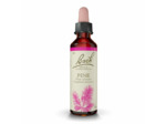 FLEUR BACH PINE GTT FL20ML