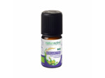 NATURA HE BERGAMOTTE BIO FL/5ML