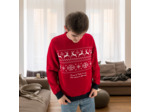 Pull de Noel - Dans le Tarn on est vin chaud et chauvin