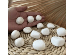 SCOLECITE