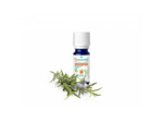 PSL HE ROMARIN CAMP B 10ML